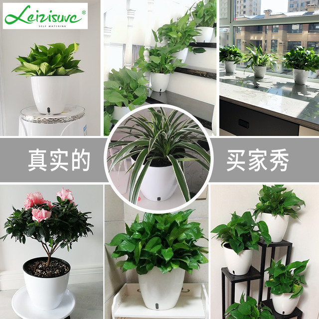 Leizisure 绿萝箩专用懒人花盆塑料大中小号自动吸水白色室内创意家用水培盆