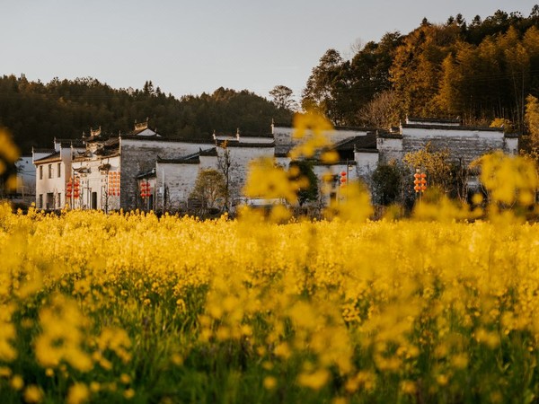 端午暑假不加价！住进百年徽宅！在荷间·婺源墅家百年故里西冲院 多种房型1晚套餐（含双早+汉服体验+周边骑行等）