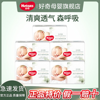 HUGGIES 好奇 心钻装小森林婴儿纸尿裤拉拉裤男女宝宝通用超薄透气