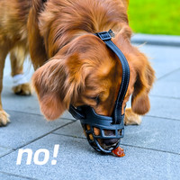 VOOPET 大宠小物 WQW!狗狗嘴套防咬叫乱吃神器小型大型犬专用口罩宠物止吠器狗嘴罩