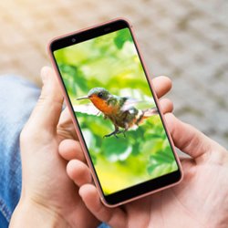 夏普 日本直邮夏普sharp au aquos智能手机sense3basic shv48sim卡