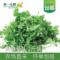 【老一生鲜】新鲜草头2斤装金花菜野菜三叶菜秧草本地 含水湿的