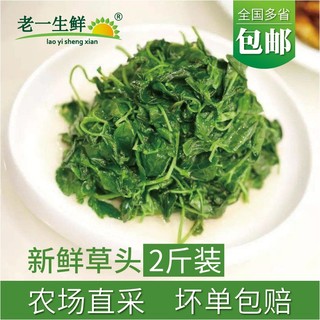 【老一生鲜】新鲜草头2斤装金花菜野菜三叶菜秧草本地 含水湿的