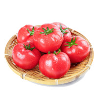 京地达海阳普罗旺斯西红柿3斤装 口感沙瓢番茄 新鲜蔬菜源头直发