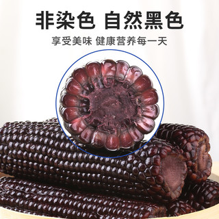 昔日印象 黑糯玉米棒220g*2根甜苞米早餐真空包装黏玉米苞米杂粮2023新玉米