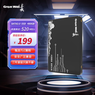 Great Wall 长城 480GB SSD固态硬盘 SATA3.0接口 读速520MB/S台式机/笔记本通用 GW520系列