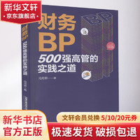 财务BP 500强高管的实践之道 图书