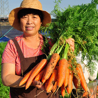 美邻惠享家京地达山东寿光新鲜胡萝卜 4.5斤装 新鲜蔬菜带泥发货源头直发