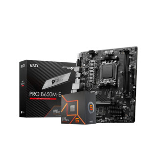 AMD 板U套装 微星PRO B650M-E R5 7500F(散片)