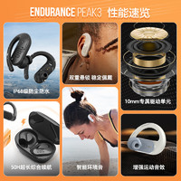 JBL 杰宝 ENDURANCE PEAK3 真无线蓝牙耳机运动跑步防汗挂耳式