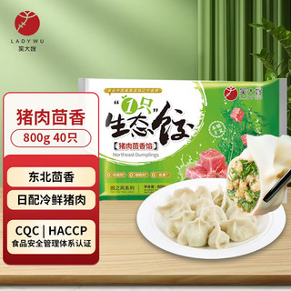 WDS foods 吴大嫂 一只生态饺 猪肉茴香馅 800g