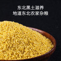 掌中禾 东北黑龙江农家一级油糯黄小米杂粮米2023年新米黄米
