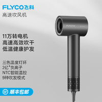 FLYCO 飞科 吹风机家用电吹风宿舍高速负离子大风力速干便携吹风筒送女友礼物 FH6370太空灰 普通装