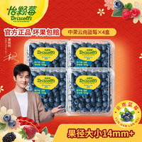 怡颗莓【口感清脆】当季云南蓝莓 国产蓝莓 新鲜水果 【当季新鲜蓝莓】中果4盒