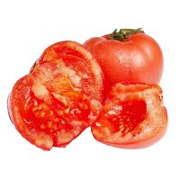 鲜程祥合 超大果 普罗旺斯西红柿 5斤装（10-12个）不用券实付