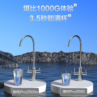 88VIP：ANGEL 安吉尔 净水器家用直饮1000G流量RO反渗透自来水过滤哪吒Pro2500S