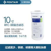 滨特尔10寸20寸大胖瓶大蓝瓶大白瓶PP棉 RFC DFX GAC FLO活性炭复合滤芯 10寸RFC- BB 滤芯