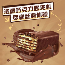 Nestlé 雀巢 脆脆鲨巧克力味威化饼干 250g