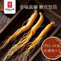 CBM GINSENG 长白山人参 精选鲜人参5支 健康煲汤泡酒材料 富含人参皂苷 酒浸保存鲜参独立包装 酒浸鲜人参