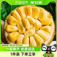 88VIP：果园密码 越南红肉菠萝蜜热带水果菠萝蜜8斤