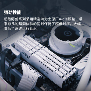 Kingston 金士顿 FURY Beast超级野兽系列 DDR5 6400MHz 台式机内存 马甲条 白色 CL32