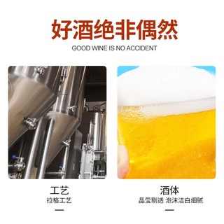 tianhu 天湖啤酒 9度原酿500ml*12听整箱