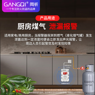 岡祈（Gangqi）煤气罐液化石油气燃气器 智能家居家用厨房煤气泄漏感应探测 液化气器 煤气器 【煤气罐泄漏】厨房卫士