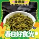 京东京造 2024新茶 明前特级龙井茶 100g