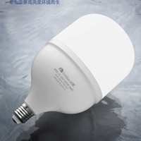 家装季：FEIDIAO 飞雕 E27 LED灯泡 25W 白光