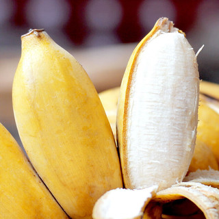 礼京果觅 广西小米蕉新鲜香蕉粉糯香蕉 带箱6斤 净重5.5斤以上