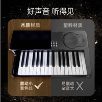 Hape 德国儿童玩具音乐启蒙玩具30键轻奢立体钢琴3岁+ E0631