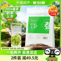 2024新茶茶马世家绿茶早春明前新茶云南毛峰春尖茶浓香型250g