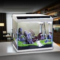 SEA STAR 超白玻璃创意小鱼缸客厅小型迷你桌面家用水族箱生态金鱼缸懒人 极光白 OY-500标配