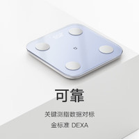 Xiaomi 小米 体脂秤 S400