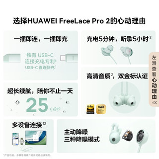 HUAWEI 华为 FreeLace Pro 2 入耳式颈挂式主动降噪蓝牙耳机 雅丹黑 Type-C