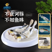 中洋鱼天下 无毒河豚鱼暗纹东方鲀 150g生鲜年货 冷冻鱼类海鲜水产 河豚鱼150g/条 2条装
