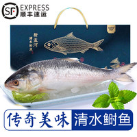 太湖海淡水鲥鱼 鲜活冰鲜冷冻生鲜鱼类 江苏特产新孟河礼盒装 冰鲜鲥鱼(1-1.3斤/条)礼盒装