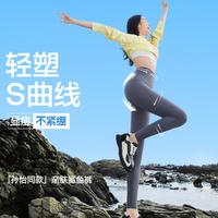 SIN SIN 鲨鱼裤外穿女瑜伽打底提臀裤有大码