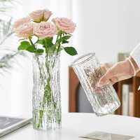 兰泽 简约现代北欧玻璃花瓶透明水养玫瑰百合富贵竹插花瓶客厅餐桌摆件