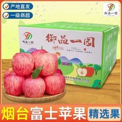 御品一园 正宗山东栖霞苹果红富士彩箱礼盒新鲜水果脆甜冰糖心一级3/4.5斤