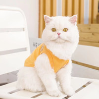 Aiitle 愛它樂 貓狗服裝春秋夏季保暖衛衣小寵物泰迪貓咪外套可愛小熊黃中