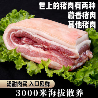 卡拉达  藏香猪精品五花肉400g*2  烤肉小炒肉 黑猪土猪 地标 源头直发