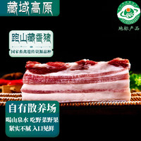 卡拉达 藏香猪精品五花肉400g*2  烤肉小炒肉 黑猪土猪 地标 源头直发