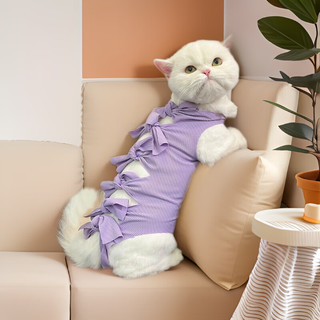 宠号 宠物猫咪衣服 绝育服 母猫 手术服小猫 浅紫色 S 3-6斤