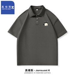 JEANSWEST 真维斯 男士短袖Polo衫 2件