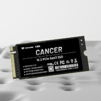 TOPMORE 达墨 巨蟹座 NVMe M.2 固态硬盘 1TB（PCI-E3.0）
