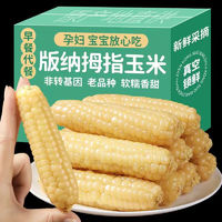 春季尝鲜！！拇指小玉米西双版纳香糯非转基因袖珍糯玉米健康食品A级4斤