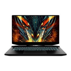 机械革命 蛟龙16Q游戏本（R7-7435H、16GB、1TB、RTX4060）