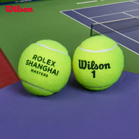 Wilson 威尔胜 官方上海大师赛法网专用比赛级多场地网球配件3只装