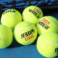 WITESS 威特斯 网球初学者高弹性耐打训练耐打初中级比赛专用按摩宠物球